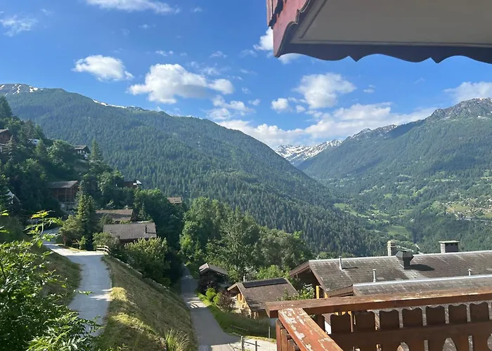 Gracious In Apartment Veysonnaz