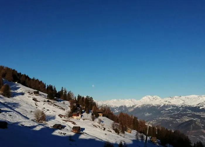 Gracious In ヴェゾナ