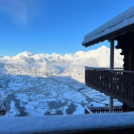 Gracious In Apartment Veysonnaz